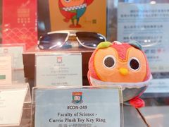 -香港大学