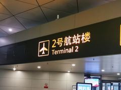 -郑州新郑国际机场-T2航站楼