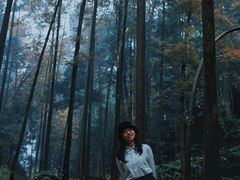 -凤栖山