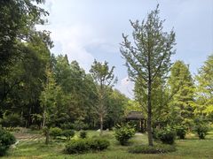 -素山寺森林公园