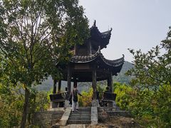-午潮山国家森林公园