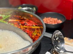 -大红袍火锅料理(尖沙咀店)