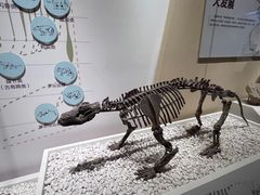 -国家自然博物馆