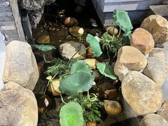 -小隐院子·庭院餐厅(大学城后湖店)