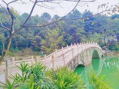 -铁山坪森林公园