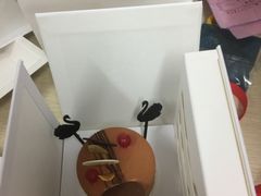 -BLACKSWAN黑天鹅(环球店)