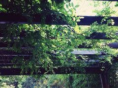 iphone_upload_pic-活水公园