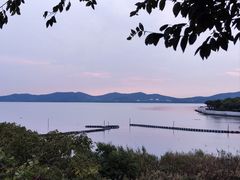 -上海市保健医疗中心