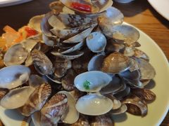 -船歌·鱼水饺青岛菜(金狮广场店)