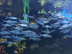 -华夏文旅海洋公园