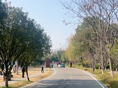 -洋湖国家湿地公园