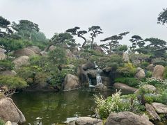 -罗红摄影艺术馆