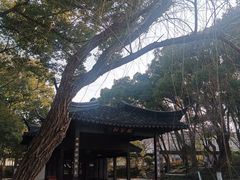 -上海方塔园