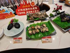 -南海渔村·空中一号