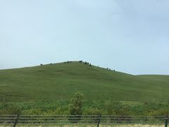 -企鹅岛