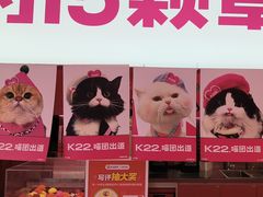 -K22.酸奶草莓(烟台芝罘店)