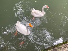 -兰亭风景区