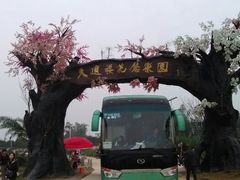 -天适樱花悠乐园