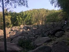 -山沟沟景区