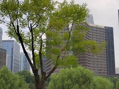 -西海子公园