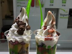 -Salud撒露欧洲冻酸奶(798艺术区店)