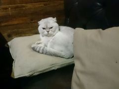 -MIKAKU(万达广场上海宝山店)