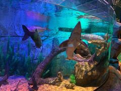 -沈阳海洋探索中心