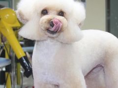 -爱派特动物医院·全科诊疗中心