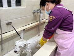 -暖阳宠物医院·犬猫康复中心·骨科