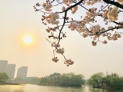 -新江湾城公园