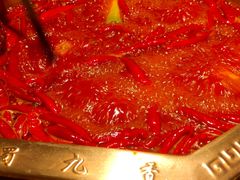 -蜀九香火锅(李家沱店)