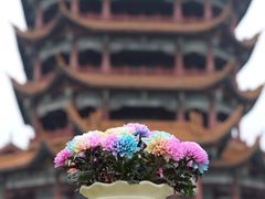 -富乐山