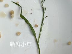 -典丽廊音乐餐厅(天津意大利风情旅游区店)