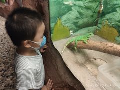 -上海大自然野生昆虫馆(东方明珠·爬宠昆虫探索中心)