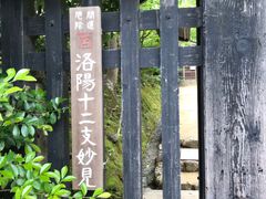 -常寂光寺