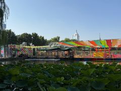 -莲花池公园
