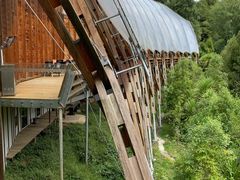 -怀托摩萤火虫洞