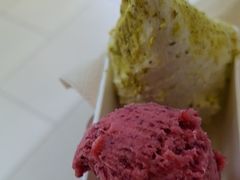 -野人先生现做冰淇淋(北京环宇荟店)