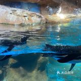 武汉必打卡旅游地标|极地海洋主题公园