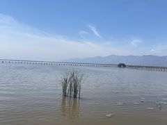 -哈素海