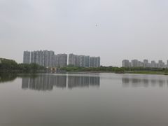-白塘生态植物园