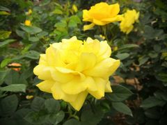 -人民公园(罗湖区)