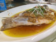 -龙泽园私房菜·地道南京味 ·招牌大鱼头(油坊桥店)