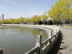 -莲花池公园