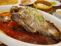 清蒸石斑-东江海鲜酒家(艺都分店)