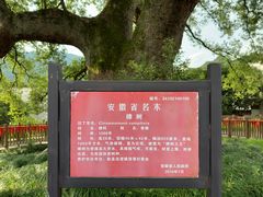 -新安江山水画廊风景区