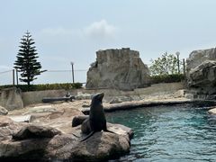 -香港海洋公园
