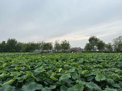 -云龙湖旅游景区