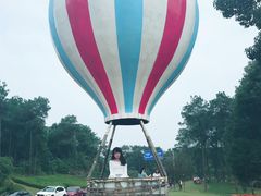 -铁山坪森林公园