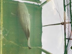-蓝湾碧波·老字号·疍家非遗海上餐厅